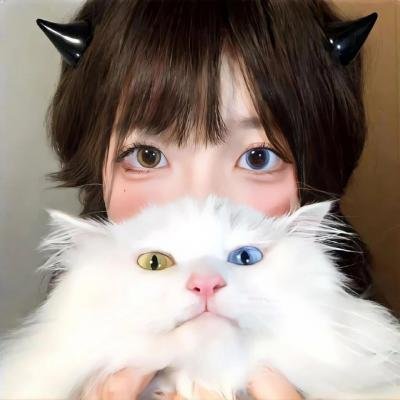 精灵也疯狂